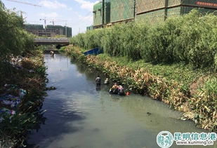 度假区全面启动河道清淤疏浚工程，提升生态环境质量
